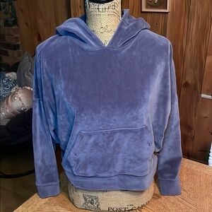 American Eagle Cropped Blue Velvet Hoodie